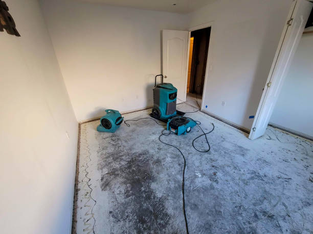 Best Local water damage restoration  in Marana, AZ