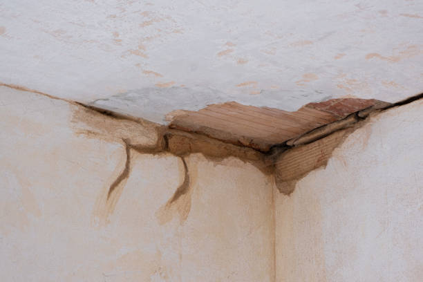  Marana, AZ Water damage restoration Pros