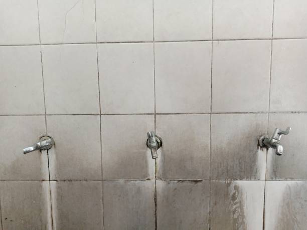 Best Water damage restoration near me  in Marana, AZ