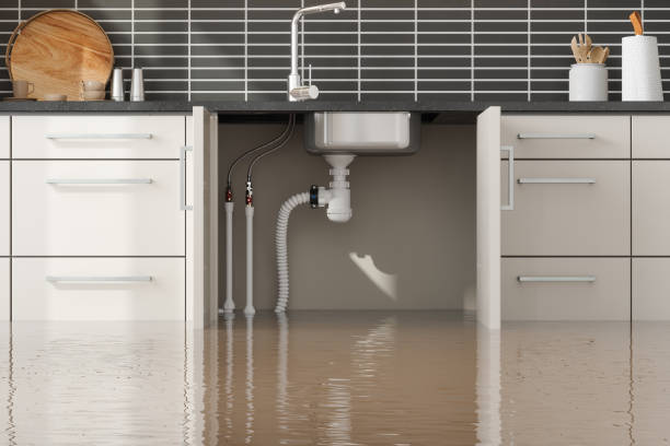 Best Fire Damage Restoration  in Marana, AZ