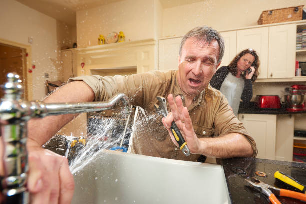 Best Flood restoration services  in Marana, AZ
